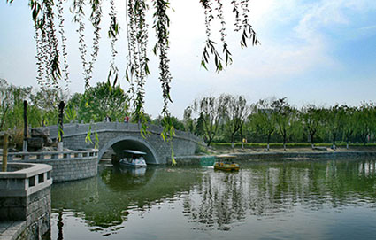 虫虫果实_临沂高铁沿线城市文旅推介会在石家庄市举办